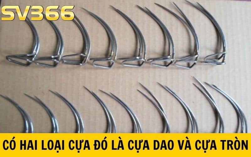 Có hai loại cựa đó là cựa dao và cựa tròn