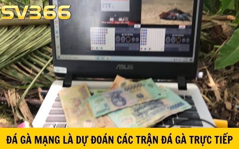 Đá gà mạng là dự đoán vào các trận đá gà trực tuyến