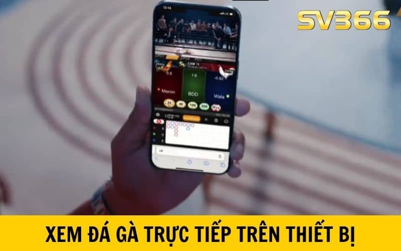 Có thể xem trực tiếp đá gà SV366 trên các thiết bị kết nối internet