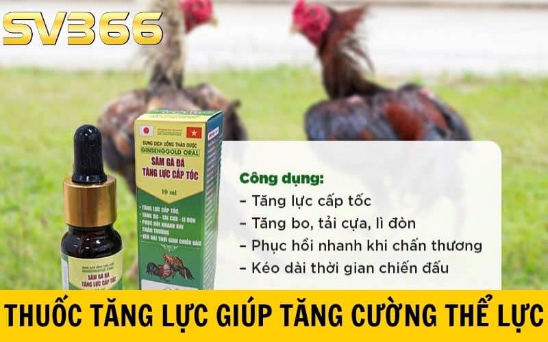 Thuốc tăng lực tăng cường sức khỏe cho gà đá