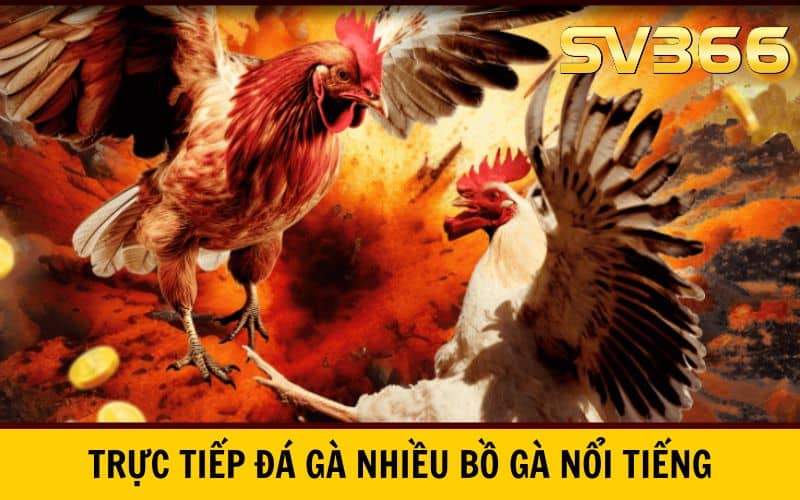 Trực tiếp đá gà tại SV366 cung cấp nhiều hình thức đá gà nổi tiếng